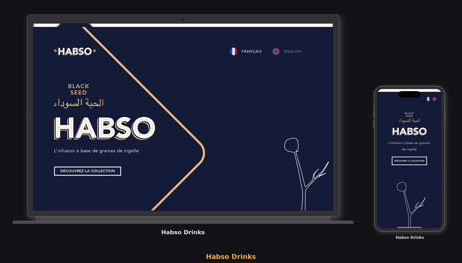 HABSO